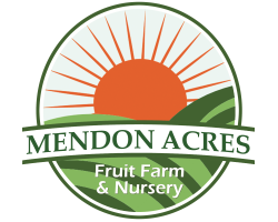 test-mendon-acres-1